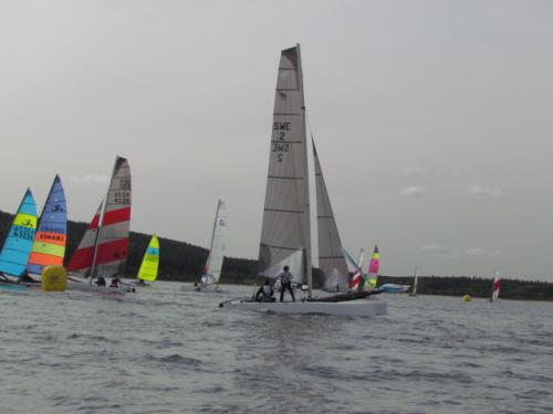 Cat-Cup 2012 (382)