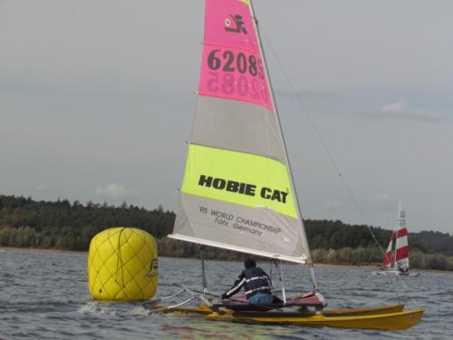 Cat-Cup 2012 (393)