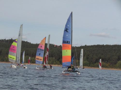 Cat-Cup 2012 (400)