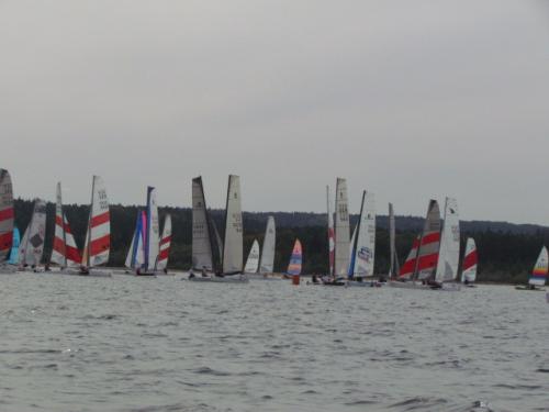Cat-Cup 2012 (410)