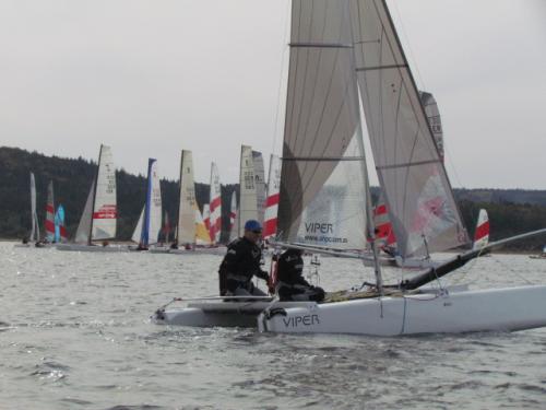 Cat-Cup 2012 (411)