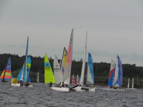 Cat-Cup 2012 (418)