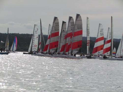 Cat-Cup 2012 (419)