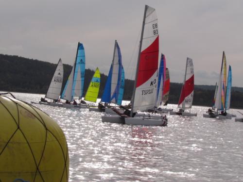 Cat-Cup 2012 (420)