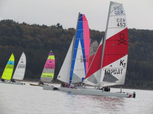 Cat-Cup 2012 (423)