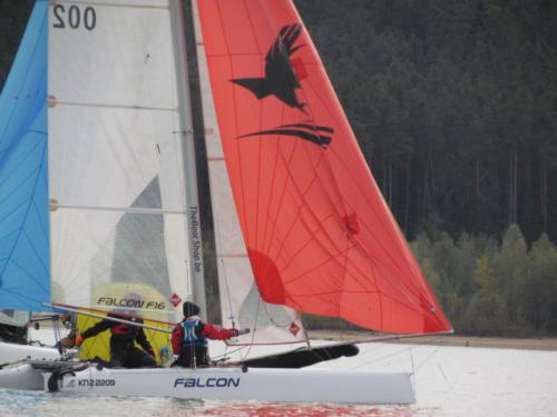 Cat-Cup 2012 (424)