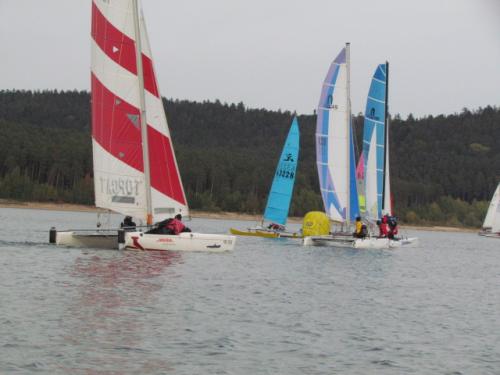 Cat-Cup 2012 (429)