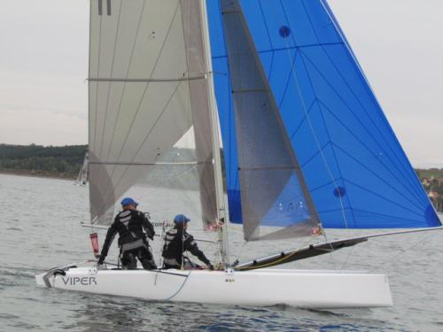 Cat-Cup 2012 (439)
