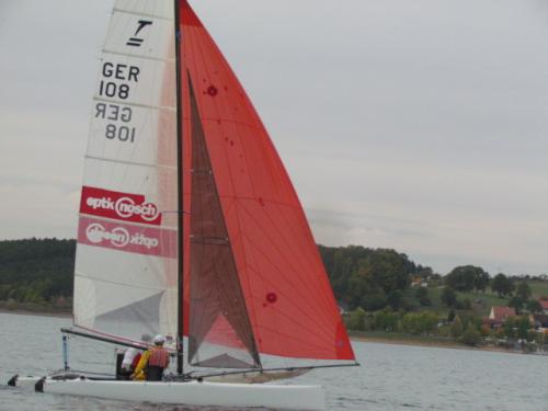 Cat-Cup 2012 (441)