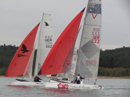 Cat-Cup 2012 (445)
