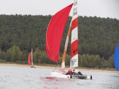 Cat-Cup 2012 (460)