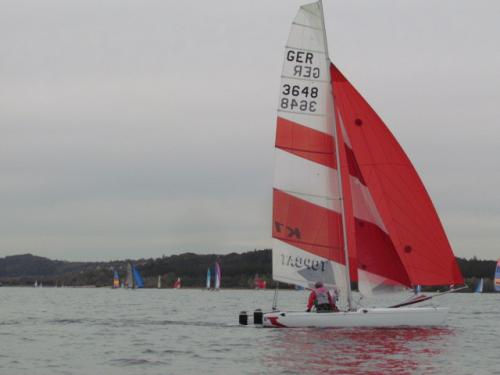 Cat-Cup 2012 (462)