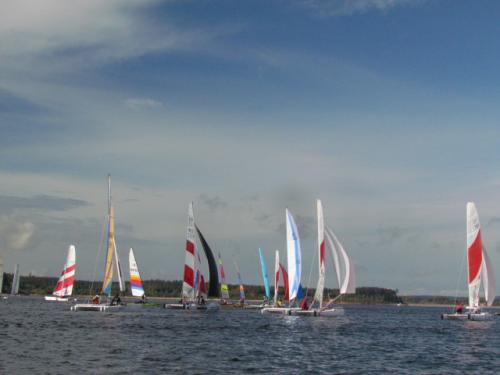 Cat-Cup 2012 (463)