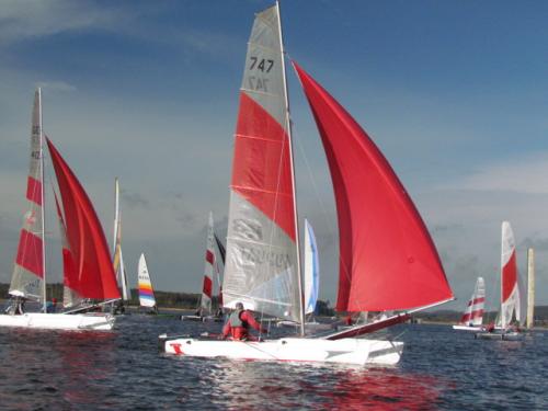 Cat-Cup 2012 (464)