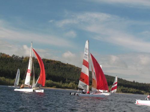Cat-Cup 2012 (465)
