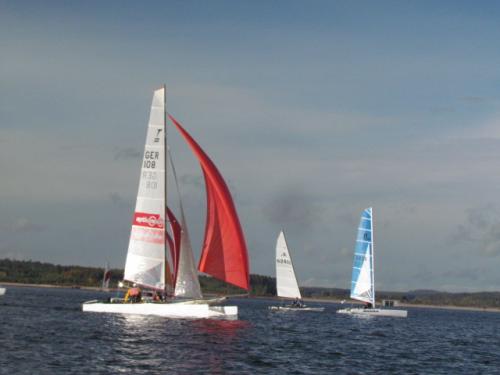 Cat-Cup 2012 (466)