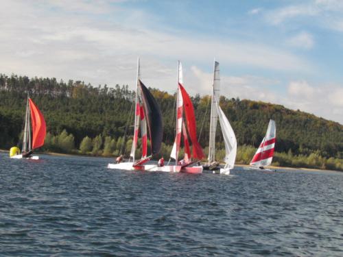 Cat-Cup 2012 (467)