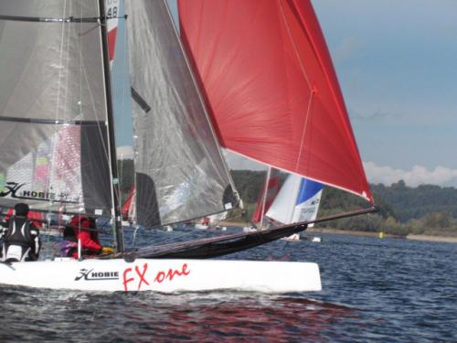Cat-Cup 2012 (470)